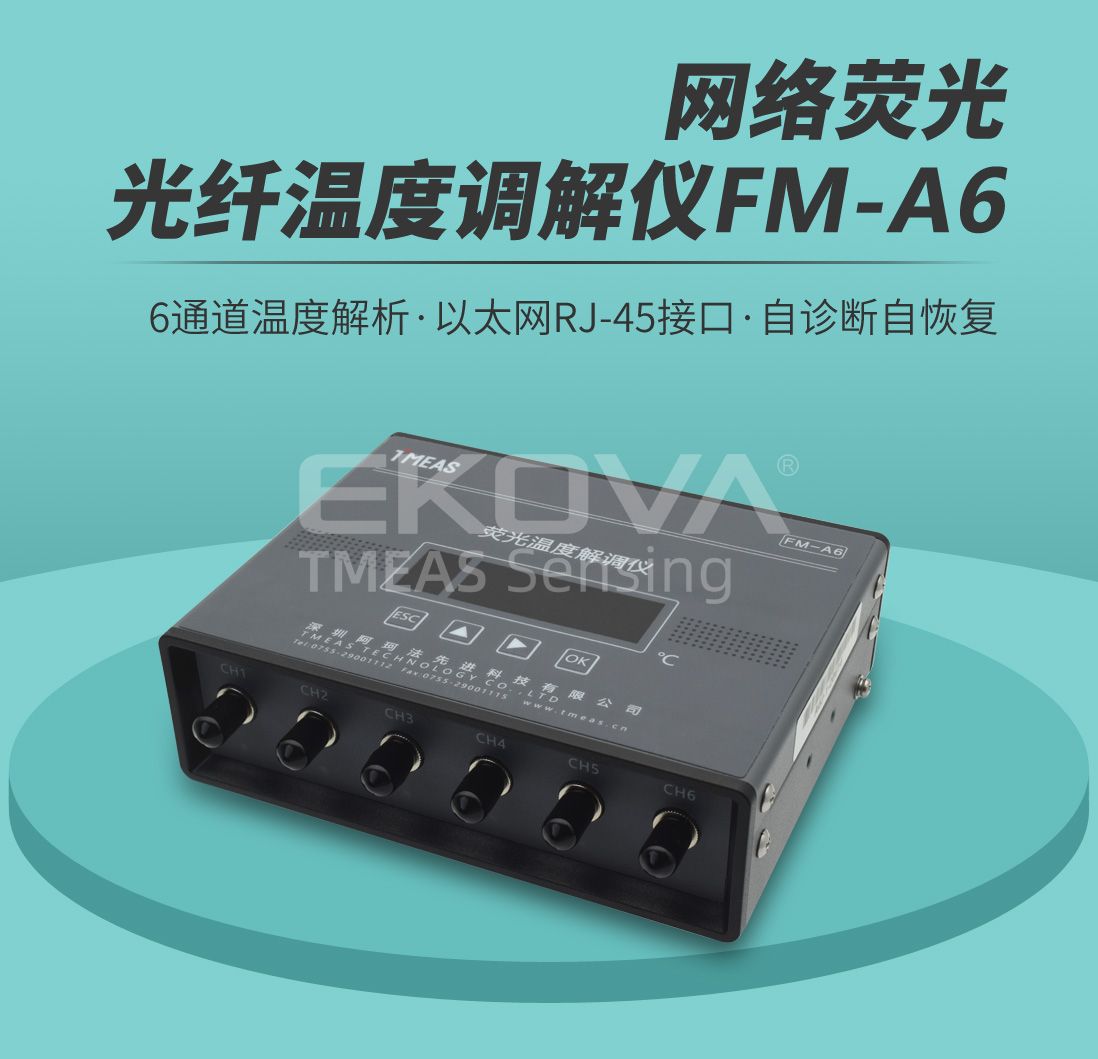 網絡熒光溫度解調儀FM-A6